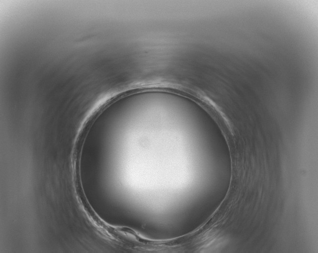 X0000054421416200508051754