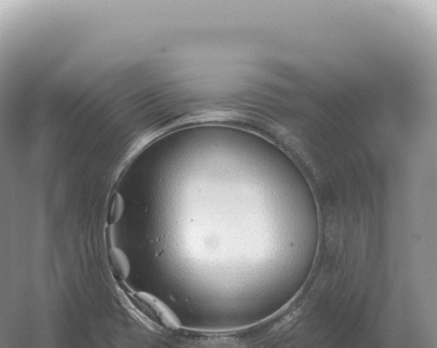 X0000054421417200508051754