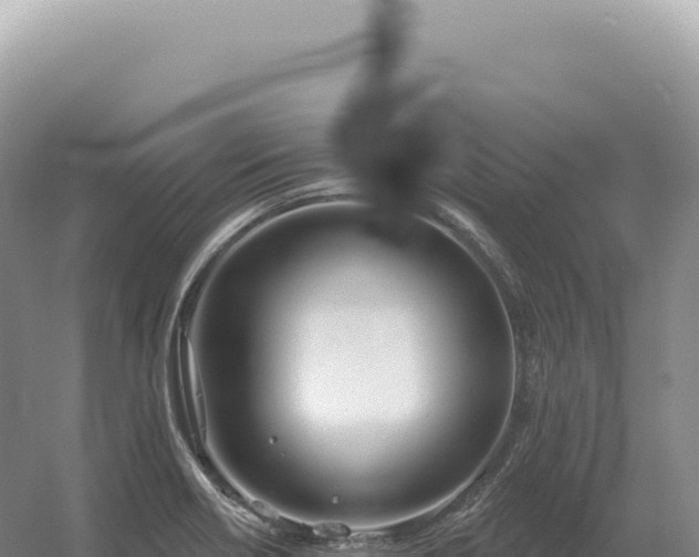 X0000054421418200508051754