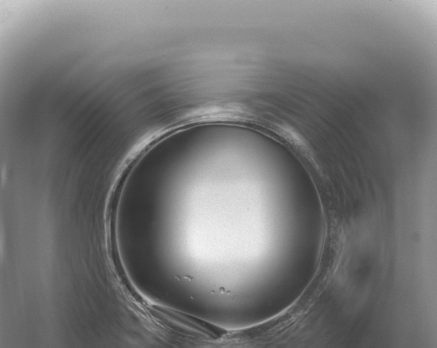 X0000054421419200508051754