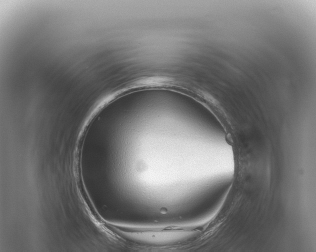 X0000054421421200508051754