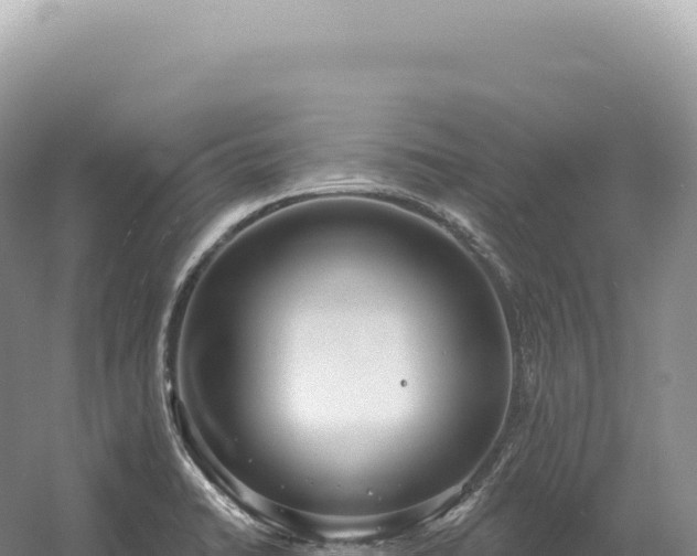 X0000054421422200508051754