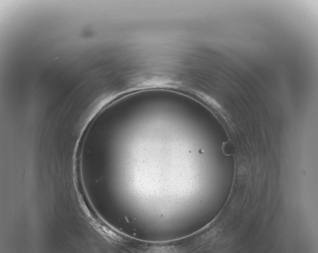 X0000054421423200508051754