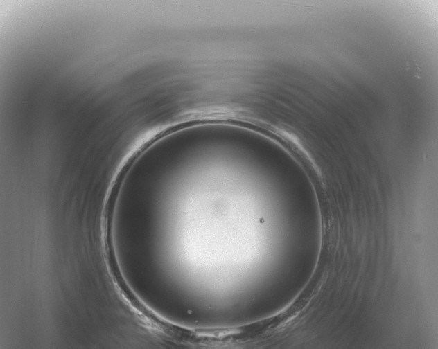 X0000054421424200508051754