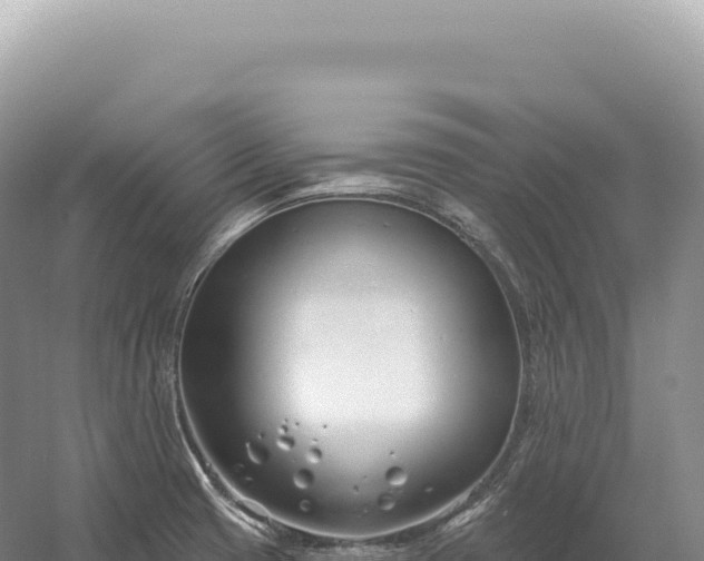 X0000054421425200508051754