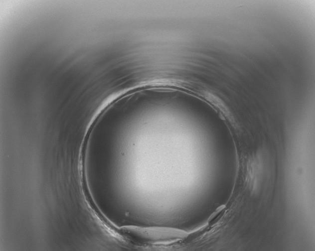 X0000054421428200508051754