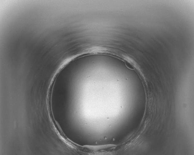 X0000054421429200508051754