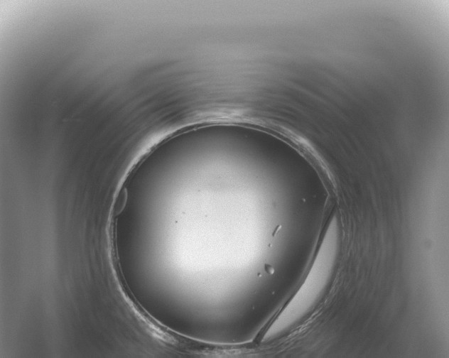 X0000054421432200508051754