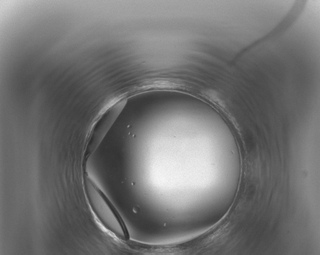 X0000054421433200508051754