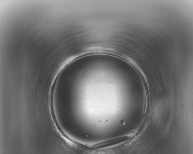 X0000054421437200508051754