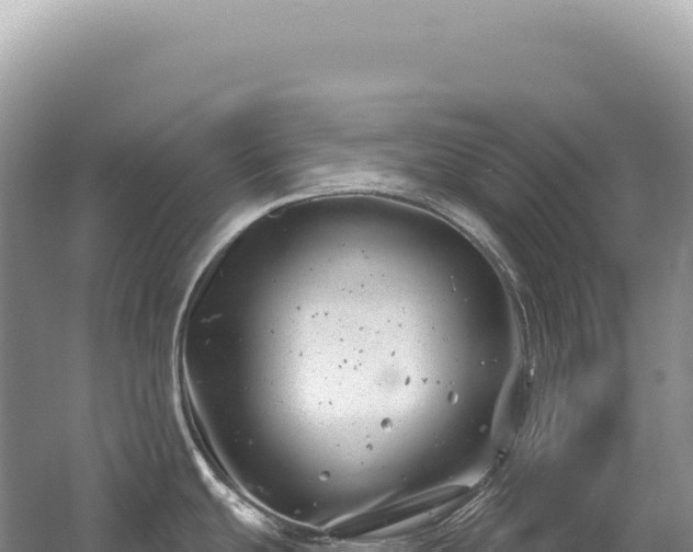 X0000054421439200508051754