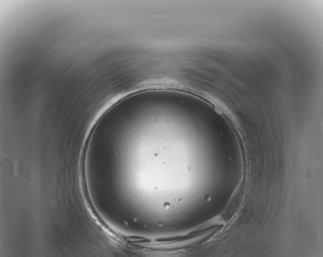 X0000054421440200508051754