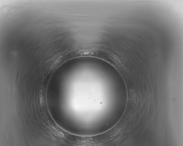 X0000054421442200508051753