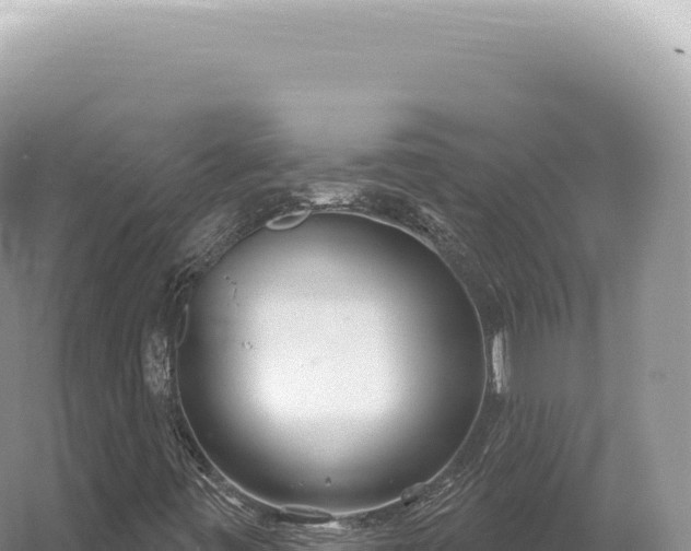 X0000054421443200508051753