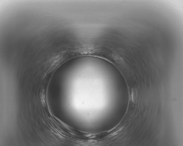 X0000054421444200508051753