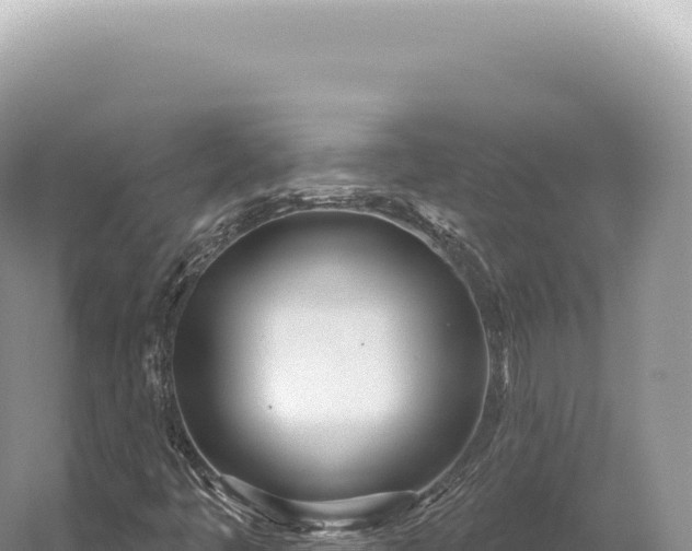 X0000054421445200508051753