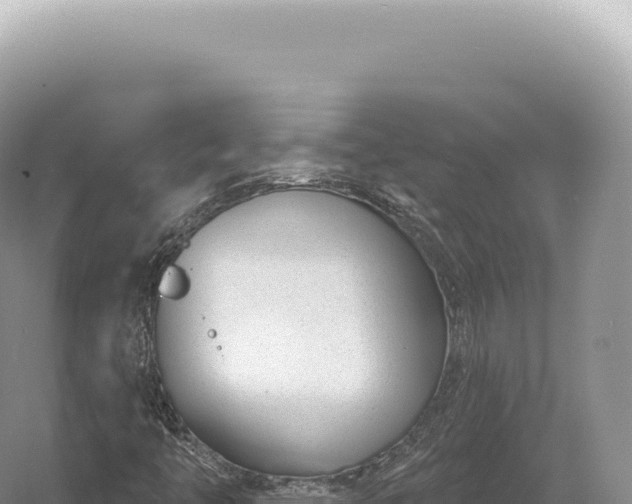 X0000054421446200508051753