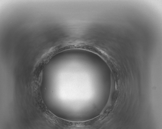 X0000054421447200508051753