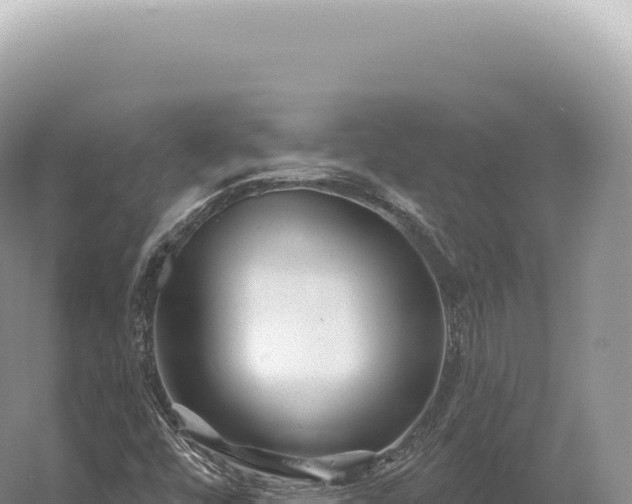 X0000054421448200508051753