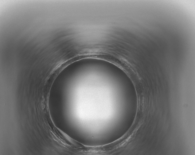 X0000054421449200508051753