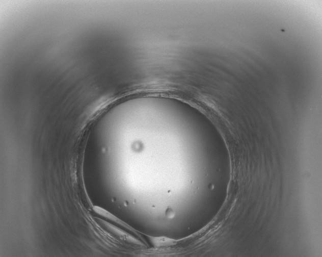 X0000054421451200508051753