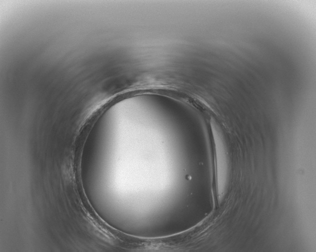 X0000054421452200508051753