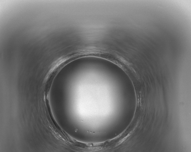 X0000054421453200508051753