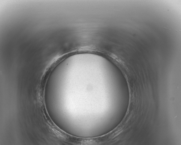 X0000054421454200508051753