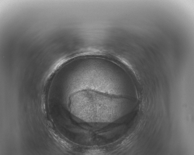 X0000054421455200508051753