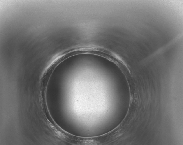 X0000054421456200508051753