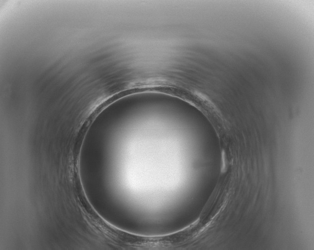 X0000054421457200508051753