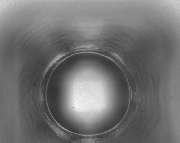 X0000054421458200508051753