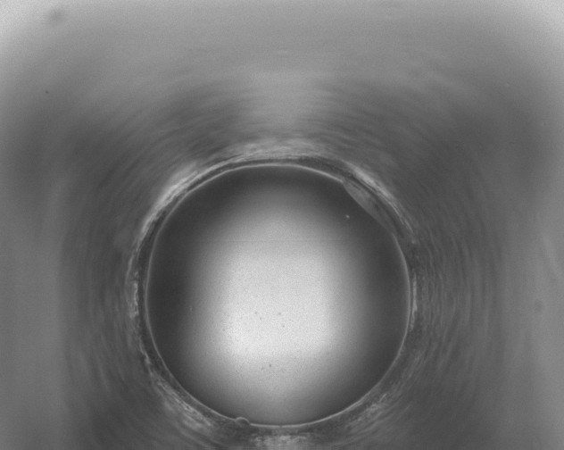 X0000054421459200508051753