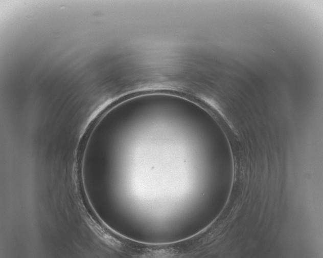 X0000054421460200508051753