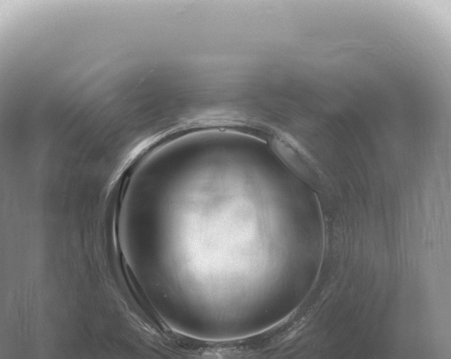 X0000054421461200508051753