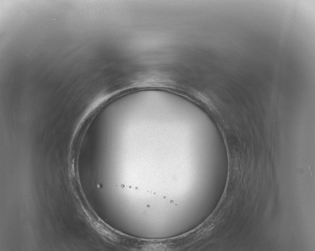 X0000054421462200508051753