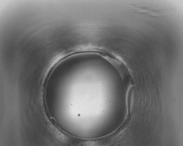 X0000054421463200508051753