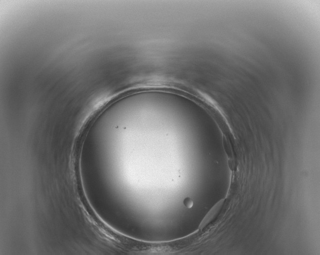 X0000054421464200508051753