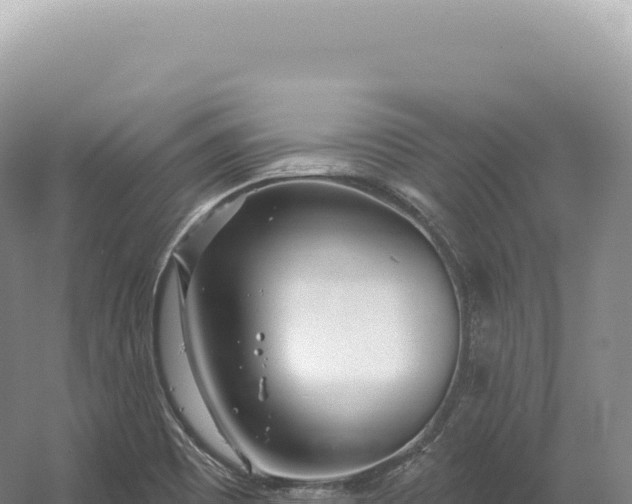 X0000054421465200508051753