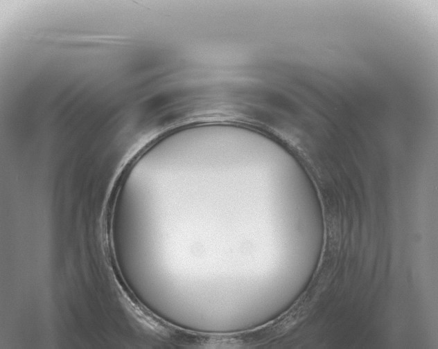 X0000054421466200508051753