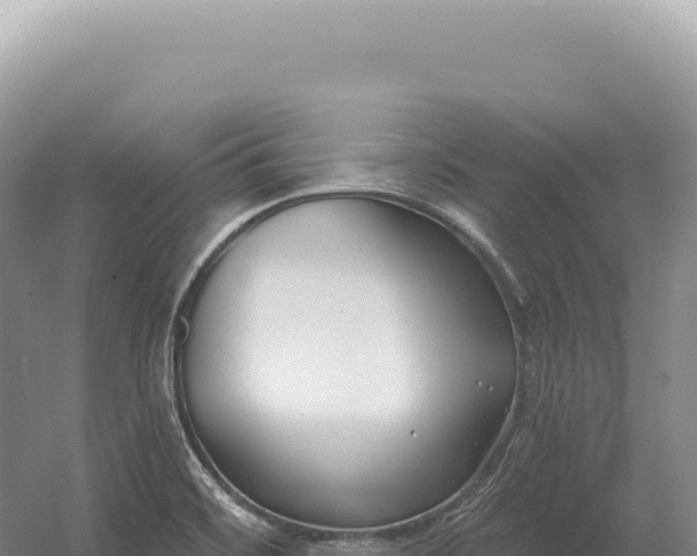 X0000054421468200508051753