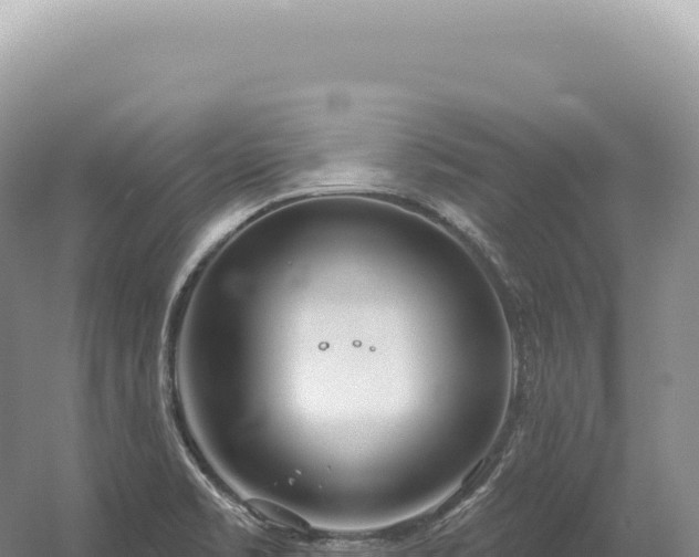 X0000054421469200508051753