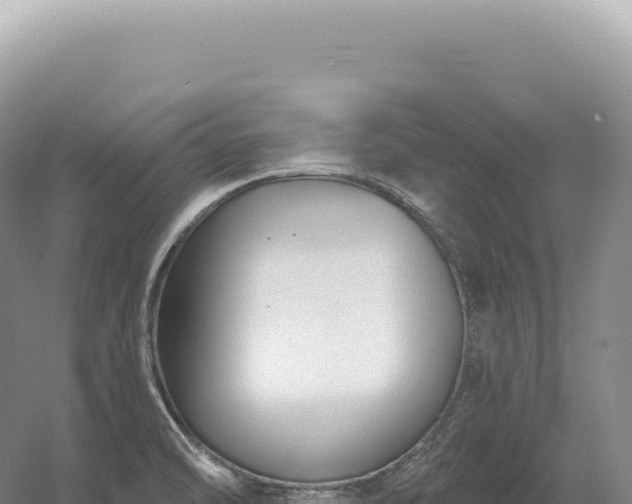 X0000054421470200508051753