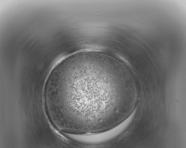 X0000054421471200508051753