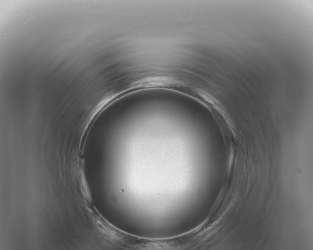 X0000054421473200508051753