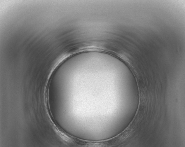 X0000054421474200508051753