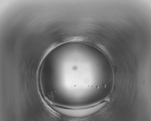 X0000054421475200508051753