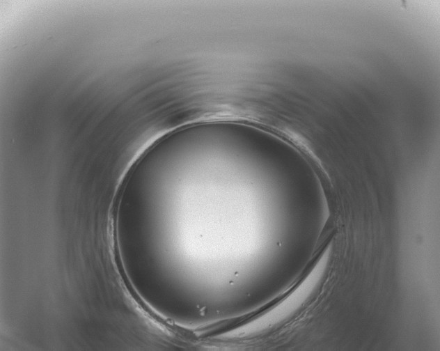 X0000054421476200508051753