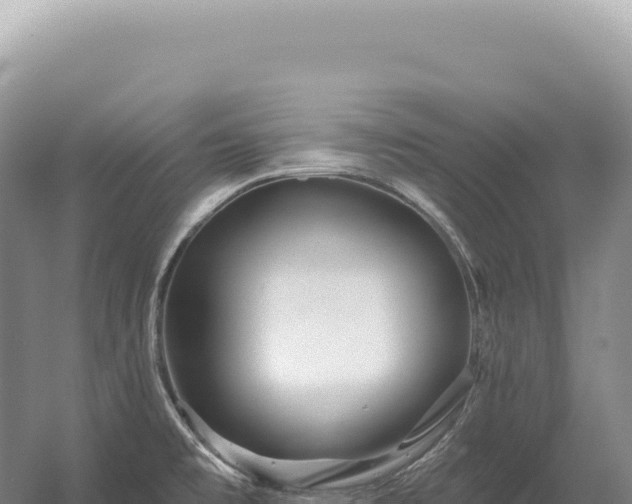 X0000054421477200508051753