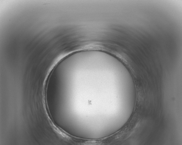 X0000054421478200508051753